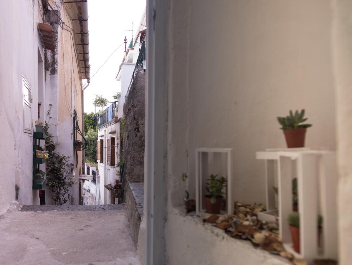 Amalfi Coast Sea View Villa Vietri Bagian luar foto